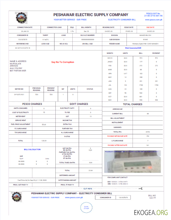 PAKISTAN PESHAWAR ELECTRIC SUPPLY COMPANY utility bill Word and PDF template